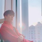 얘들아 토마토에 사이다 갈아드셈ㅜㅜ