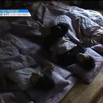 [모두드루와] 나춘기조 누워있는 <b>순서</b> 알려줘