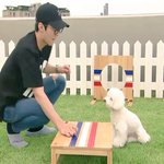 [EXO] 비비랑 몽룡이 중에 <b>누가</b> 더 말 안들을까ㅋㅋ