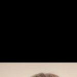 [프듀<b>X</b>] 김민규 얘 조카 신기한게ㅋㅋㅋ 어이<b>터짐</b>