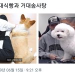 [EXO] 몽룡이랑 비비 만나는거 보고싶다