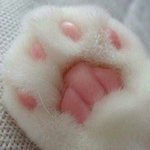 난 <b>bts</b>보다 <b>방탄소년단</b>이 더 좋은디