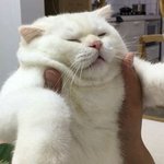 [드루와] 선택하면 100억 준다는 가정하에