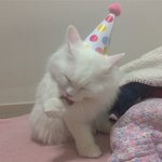 [조언부탁해] 애들아 심각해 들어와봐