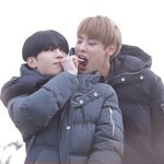 [프듀<b>X</b>] 투픽으로 바뀌면 투표할 사람 <b>말</b>해보자