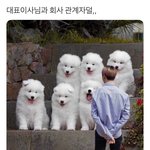 [강다니엘] 진짜 저런 직원은 뽑히면 안돼