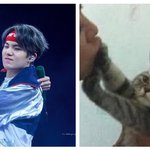 [방탄소년단] <b>태태</b>와 애옹이를 고르시오