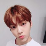 [TXT사진] 위버스말고