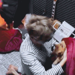 [강다니엘] 강다니엘 <b>여동생들</b>(루피오짱)이랑 뽀짝뽀짝 노는거 보고시퍼