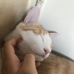 이런 애매한 <b>추행</b>이 더 싫어