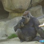 너무 못생겼쓰~다피해