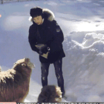 [프듀X] 양한테 먹히는 연습생...<b>gif</b>