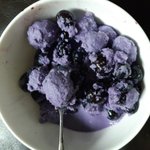 + <b>냉동</b>블루베리 샤베트