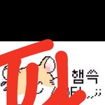 [드루와] <b>햄스터</b> 짤 있음 주샘