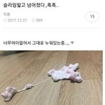 [드루와] 장원영 <b>악성</b> 글 자꾸 올라오잖아