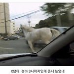 [ㅈㄱㄴ] 남자친구한테 <b>구라</b>쳐야 되나