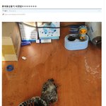 [ㅈㄱㄴ] 휴대용 선풍기 <b>터짐</b>