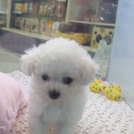 [드루와] 이거 맞춤법 뭐가 맞는거야????
