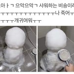 [댓글부탁해] <b>올여름</b> 래쉬가드 추천하고 가자!