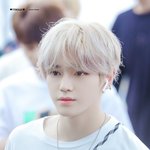 이태용 미쳤나봐