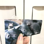 [댓글부탁해] 우리 엄마 좀 봐봐 ㅋㅋㅋ