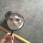 은근 일상이 <b>시트콤</b> 이지 않냥?