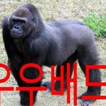 나 어<b>카지</b> 조언 좀;;;