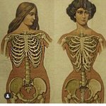 [드루와] 갈비뼈성형 코르셋오<b>진다</b>