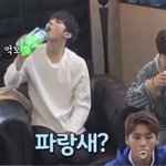 이진혁 빙구미