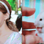 싱크로율 소름돋는 아이돌