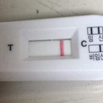 [19] 급해 임신테스<b>트기</b> 좀 봐줘