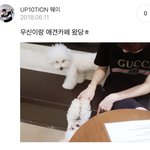 [프듀X] 김우석 1위하니까 아니나다를까 또