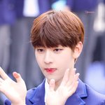 남팬이 쓰는 프로듀스 X101 연습생 영업글