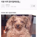 10키로 뺐다는 <b>글</b> 왜 <b>삭제</b>됨