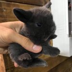 [드루와] <b>자동</b>완성 개빡친다 조카 수치