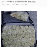 [모두드루와] 주식 망하고 브라질에 <b>장사</b>하러 감