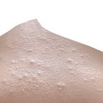 약혐) <b>좁쌀</b>관리 다들 어떻게 해...?