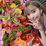 긴머리한 <b>사쿠라</b>