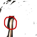 [댓글부탁해] 여기 뭐라고 불러?ㅠㅠㅠㅠ <b>팔뚝</b>?