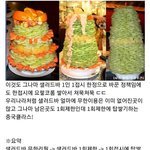 [댓글부탁해] <b>대륙</b>에 샐러드바가 거의 없는 이유