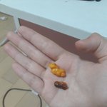 [댓글부탁해] 나 지금 치킨팝 먹는데 좀 <b>요상</b>함
