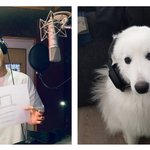 [강다니엘] 강다니엘 멈<b>무야</b> (υ·•︠ܫ•︡ υ)