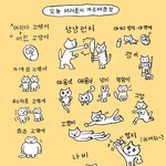 입 버렸는데 뭐먹을까