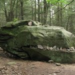 <b>미지</b>의 숲속에서 발견한 레어템