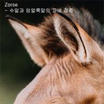 상상의 동물이 아닌 '<b>조스</b>'