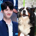 [프듀X] <b>이진혁</b> 대형견 얘 닮지않음?