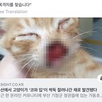 [개깊은빡침] 경상도는 왜 그러죠 ?????