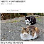 [댓글부탁해] 다 완벽해 보이던 <b>애인</b>이 강아지나 고양이를 유기한...