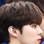 부드럽고 <b>온화</b>한 크림 남돌