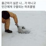 [프듀X] 프듀보다가 현타와